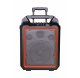 130 W powered speaker with 2 UHF microphones and USB / SD / MP3 / BLUETOOTH